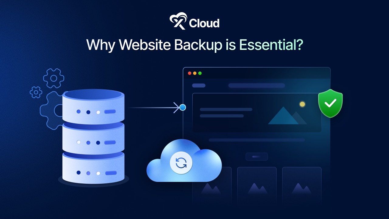 Website Backups