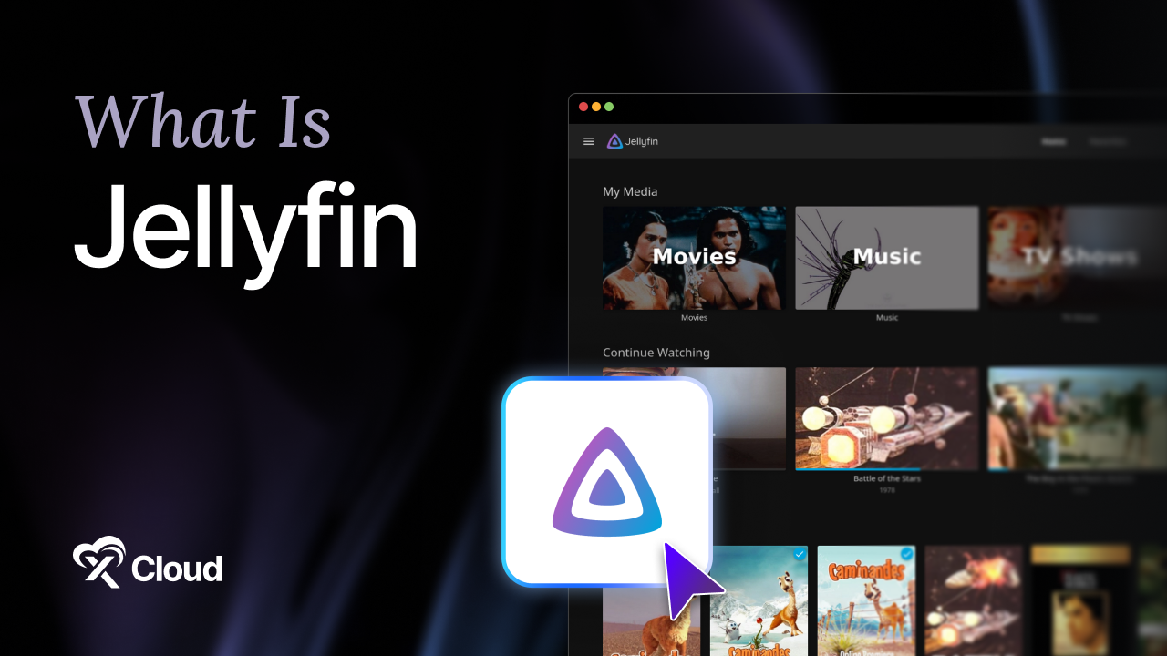 What Is Jellyfin